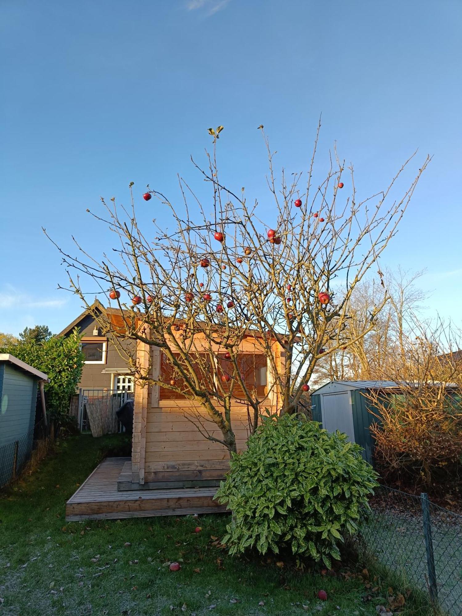 Beachhouse Mit Privater Sauna Und Kamin, 700M Zum Strand Schonberger Strand Bagian luar foto